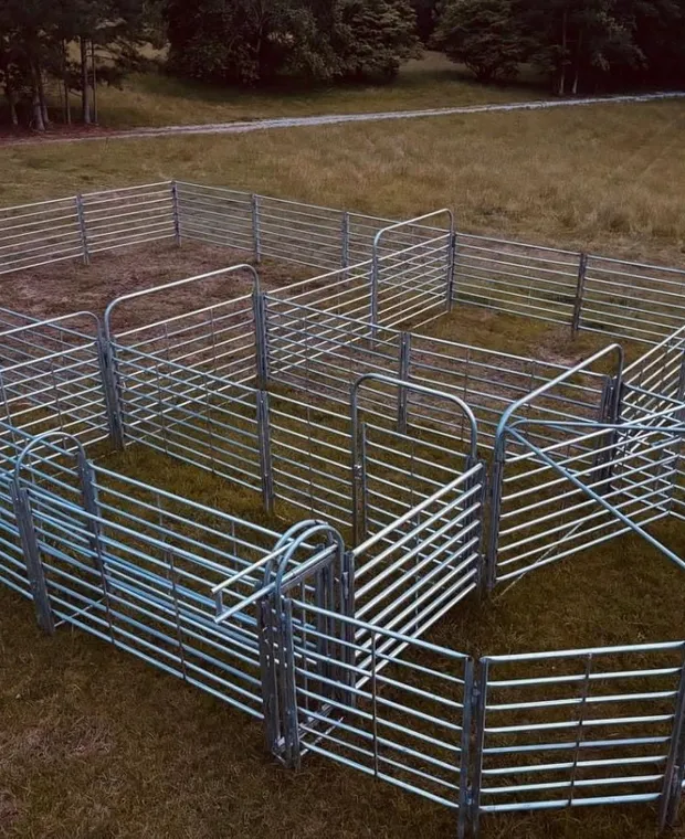 Caperton cattle handling system set up in a field: sweep tub, alley, catch pen and holding pens of galvanized panels