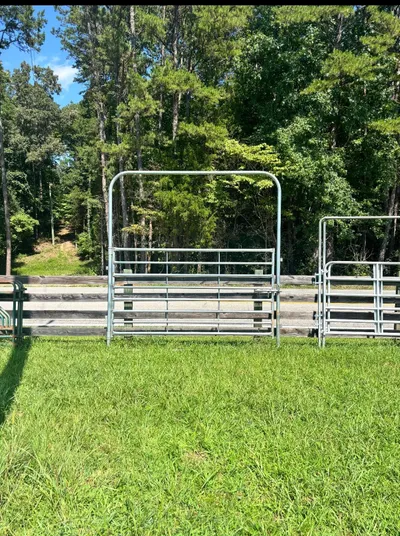 Galvanized 10-foot heavy high-top bow gate standing in a pasture