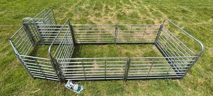 Système de contention pour bovins Edgewater avec cuve de rabattement à 90 degrés, couloir et parc d'attente dans l'herbe