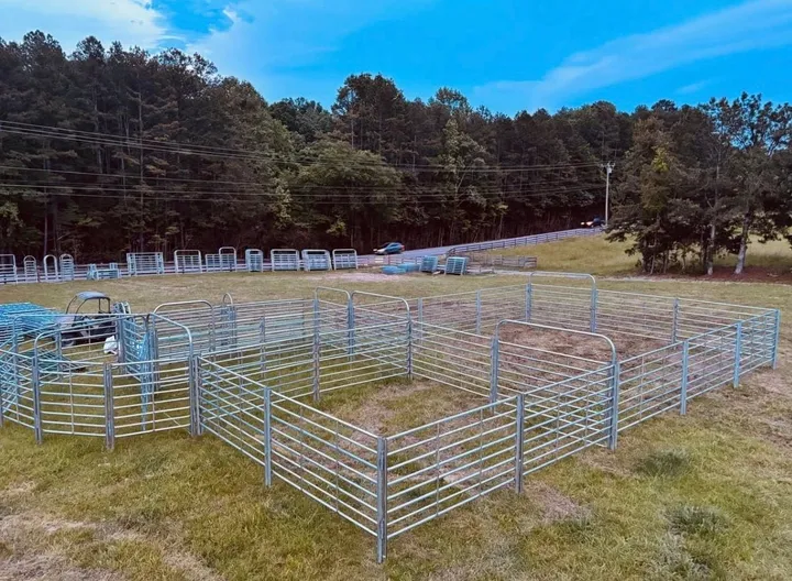 Caperton system pens set up across a pasture, wide view