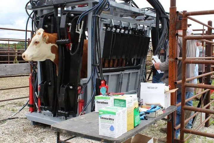New Synergy Ag Legacy GP Commercial Cattle Chute with Gas Power Unit, photo 4 of 6